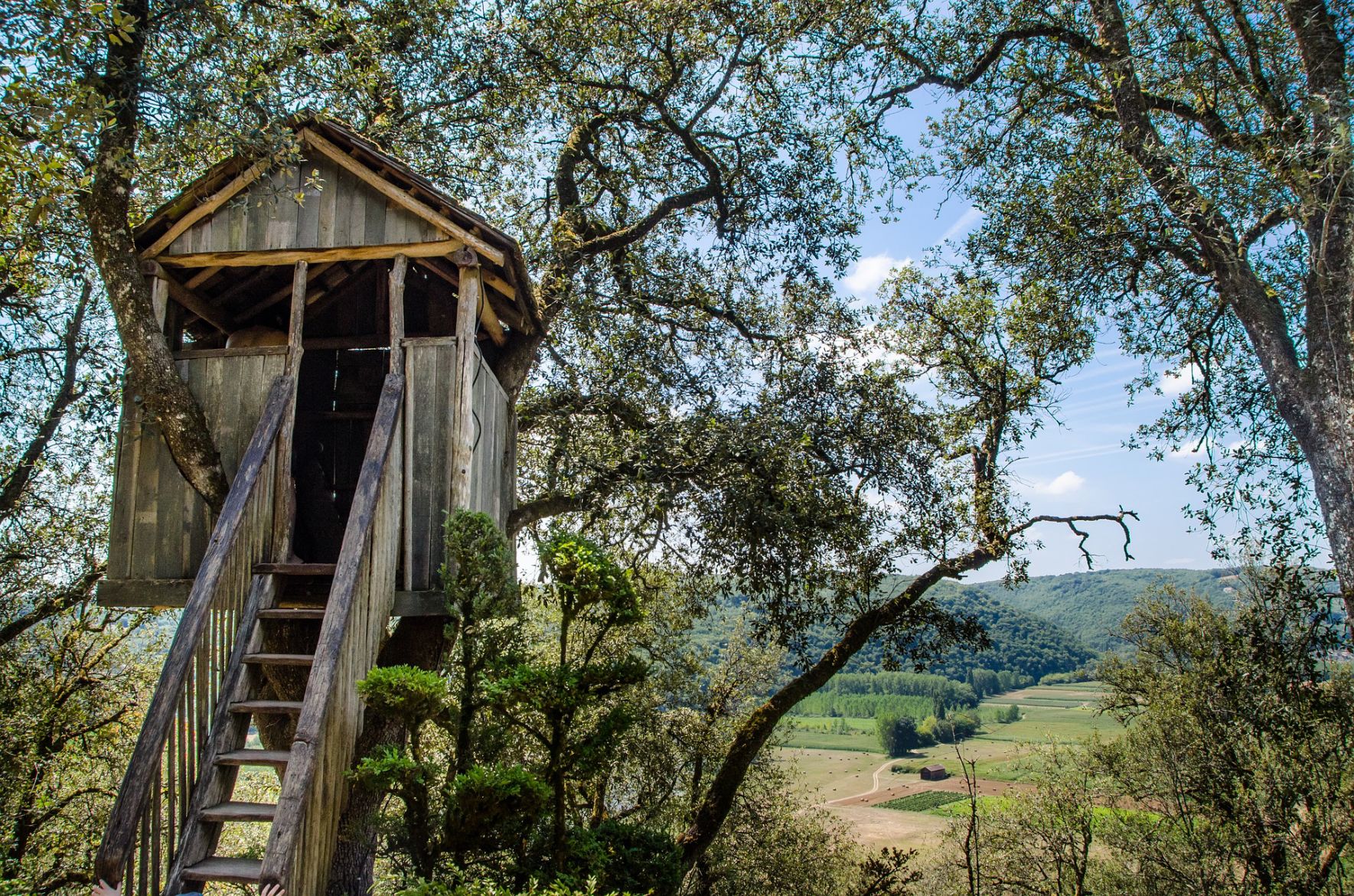 Treehouse